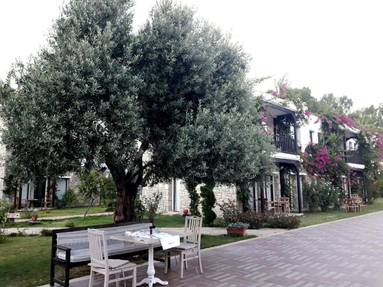Datca Doris Hotel Exterior foto